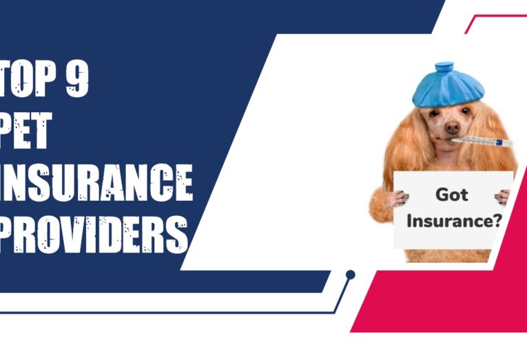 Top 9 Pet Insurance Providers in the UK: A Comprehensive Overview